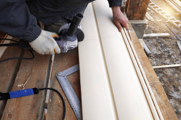 Best Brick Veneer Siding  in Medford, MN