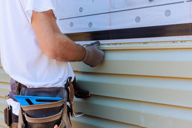 Best Vinyl Siding Installation  in Medford, MN